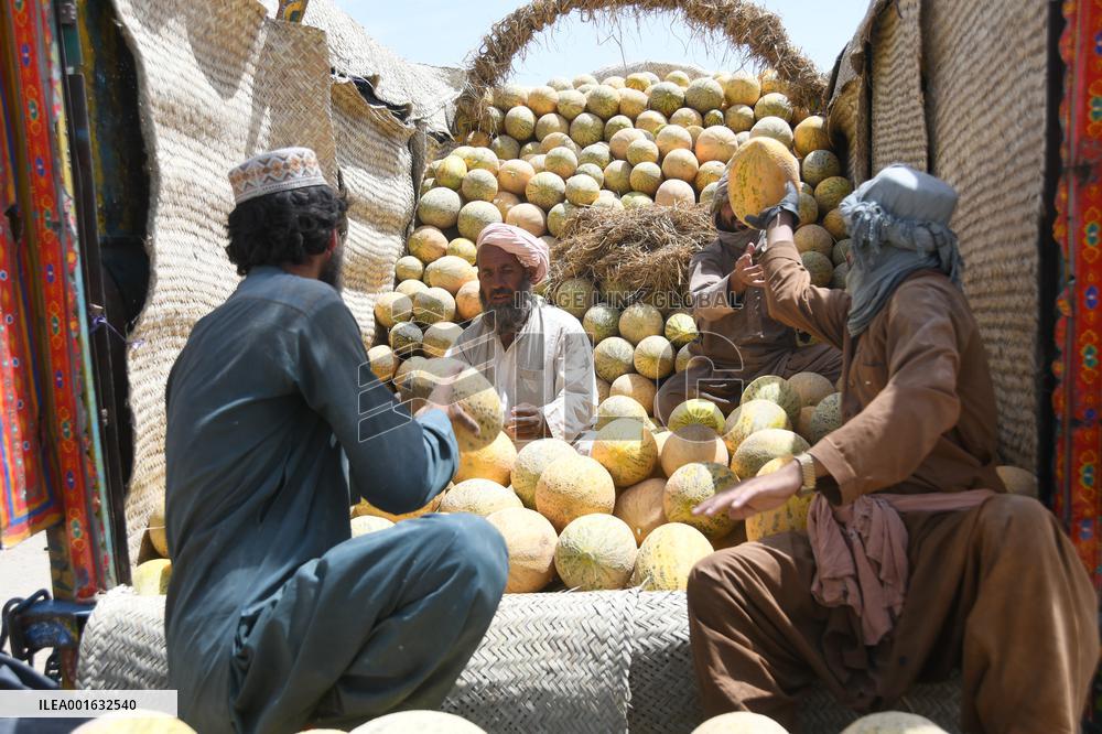 AFGHANISTAN-KANDAHAR-MELONS