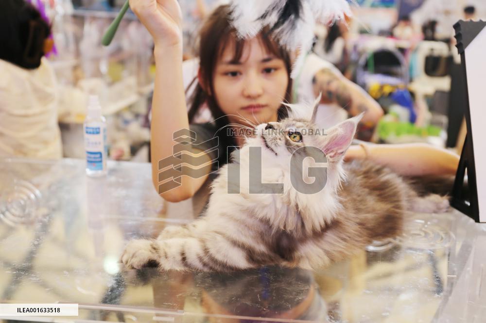 ICE International Cat Expo at Pet Asia inShanghai, China