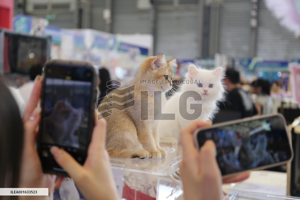 ICE International Cat Expo at Pet Asia inShanghai, China