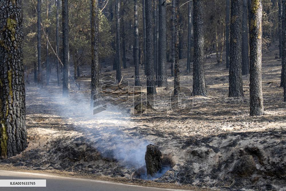 Wildfire Burned Almost 15,000 Hectares - Tenerife