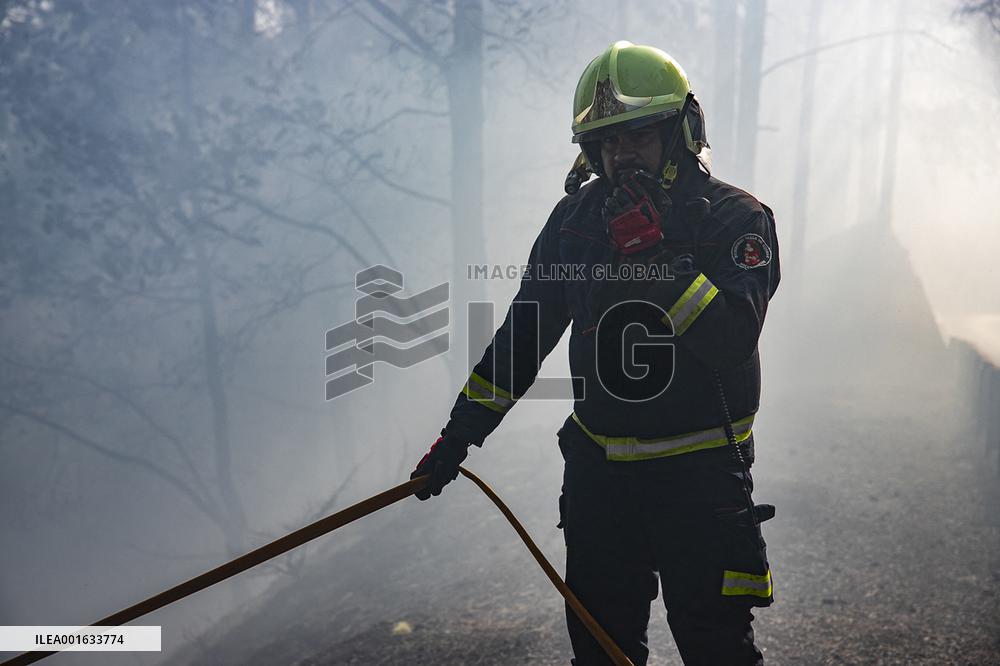 Wildfire Burned Almost 15,000 Hectares - Tenerife