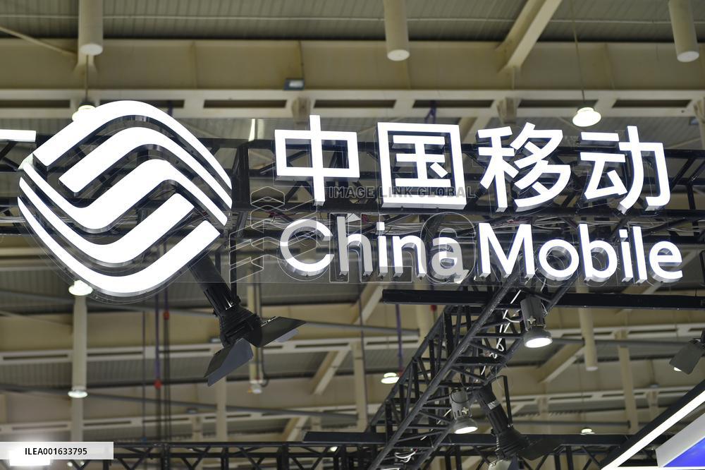 China Telecom Business Revenue Increase