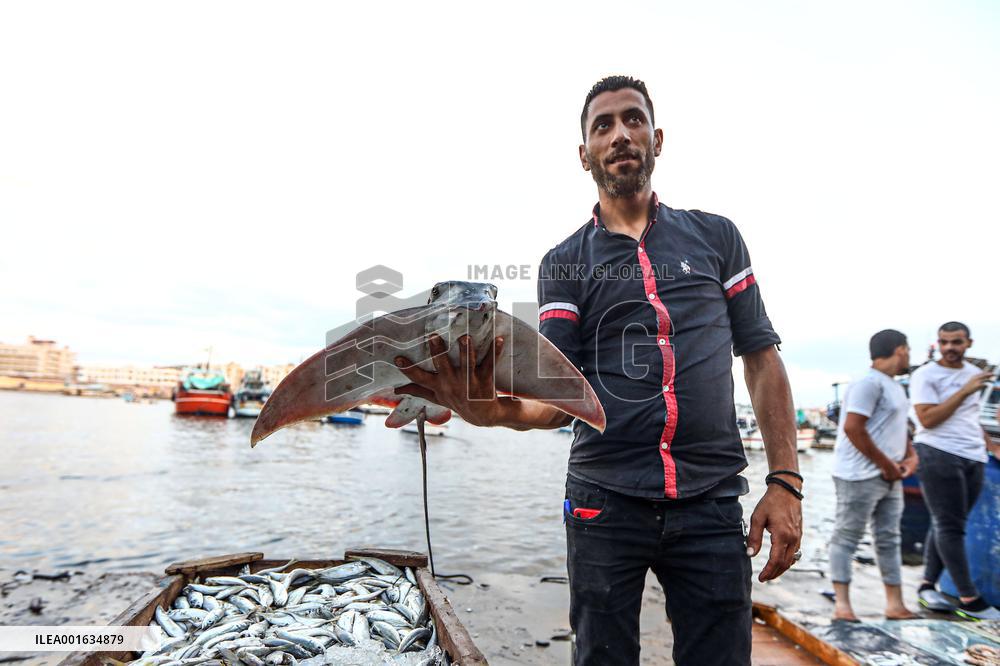 EGYPT-DAMIETTA-DAILY LIFE-FISHING PORT