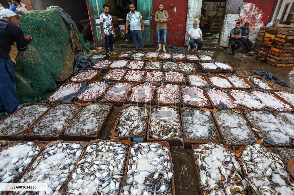 EGYPT-DAMIETTA-DAILY LIFE-FISHING PORT