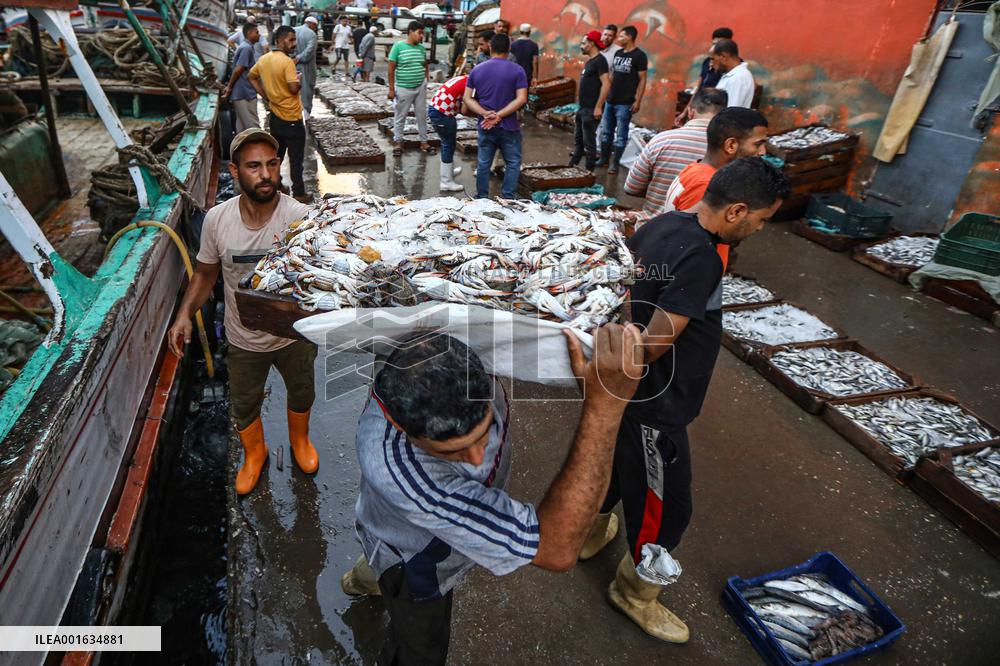 EGYPT-DAMIETTA-DAILY LIFE-FISHING PORT