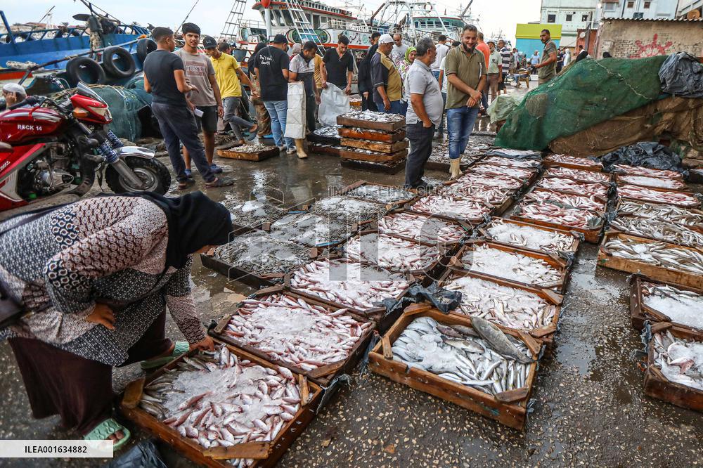 EGYPT-DAMIETTA-DAILY LIFE-FISHING PORT