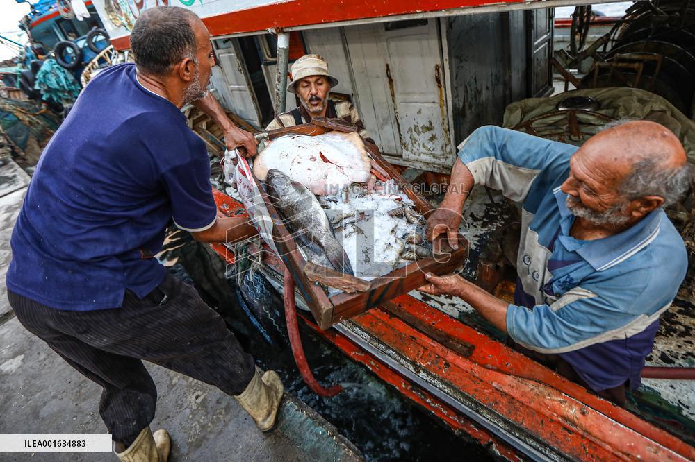 EGYPT-DAMIETTA-DAILY LIFE-FISHING PORT