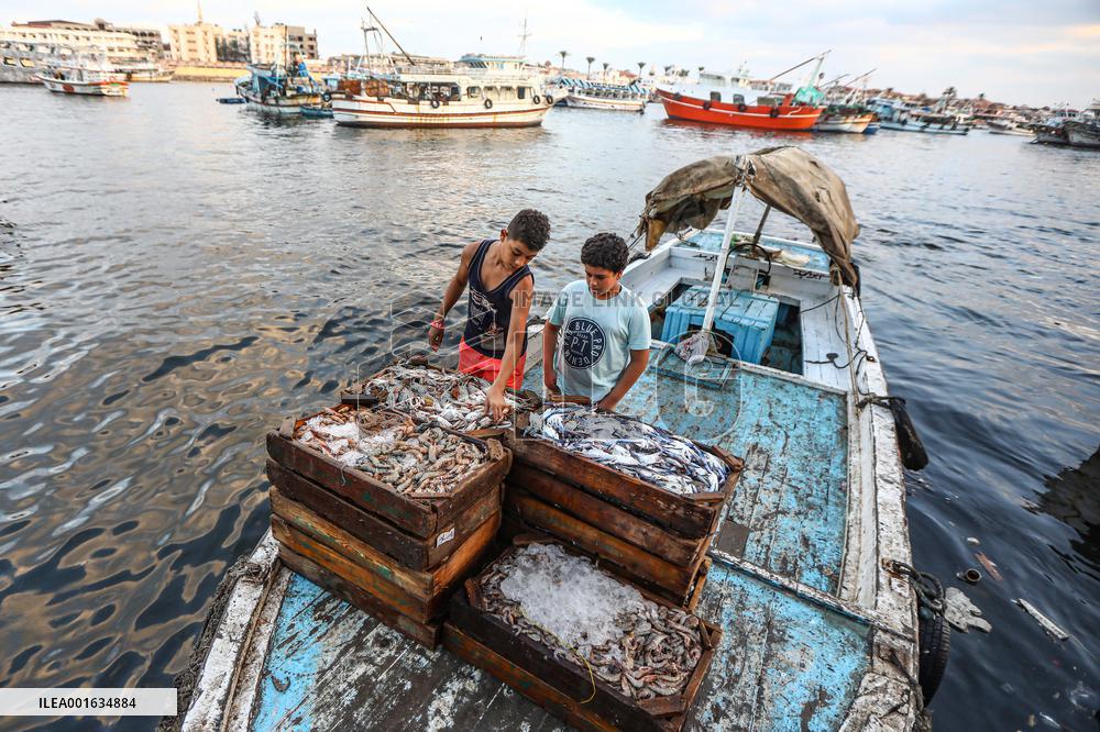 EGYPT-DAMIETTA-DAILY LIFE-FISHING PORT
