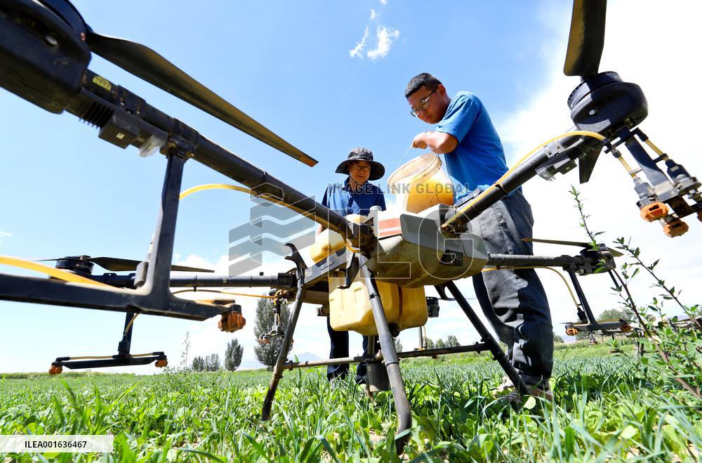 Drought in Zhangye