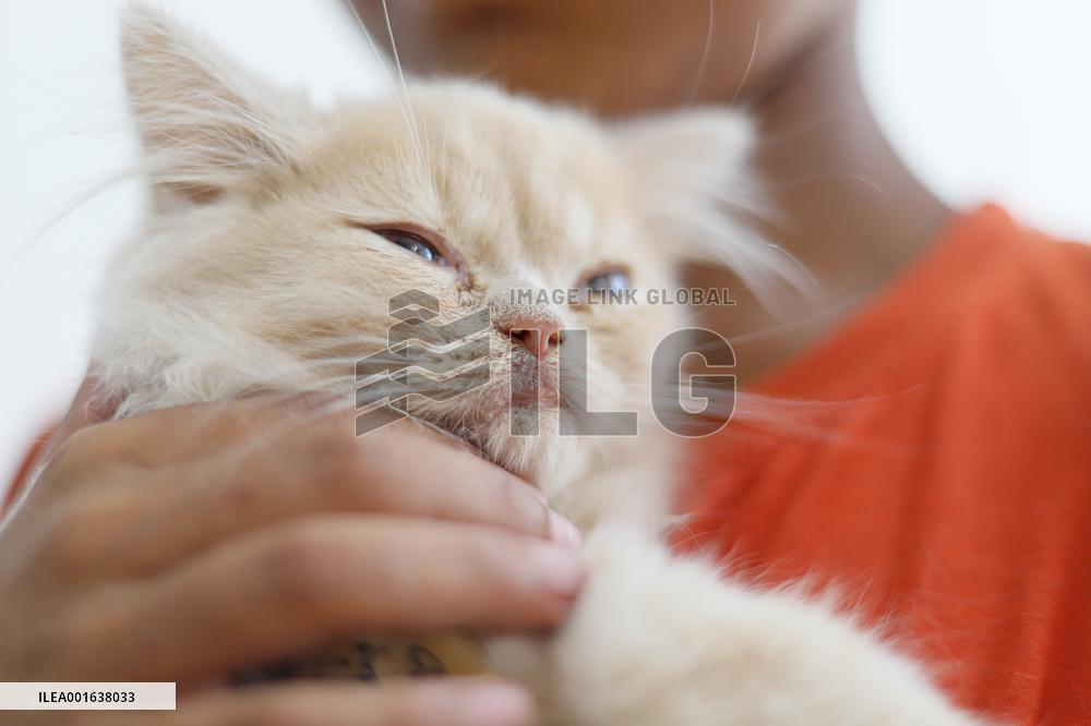 First Cat Cafe in Gaza City - Palestine
