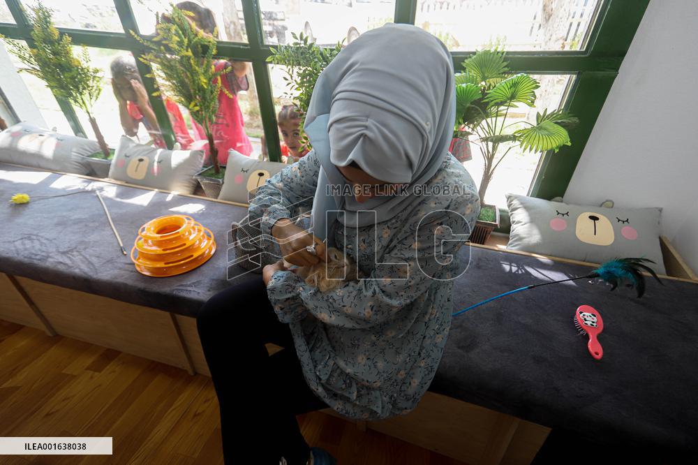 First Cat Cafe in Gaza City - Palestine
