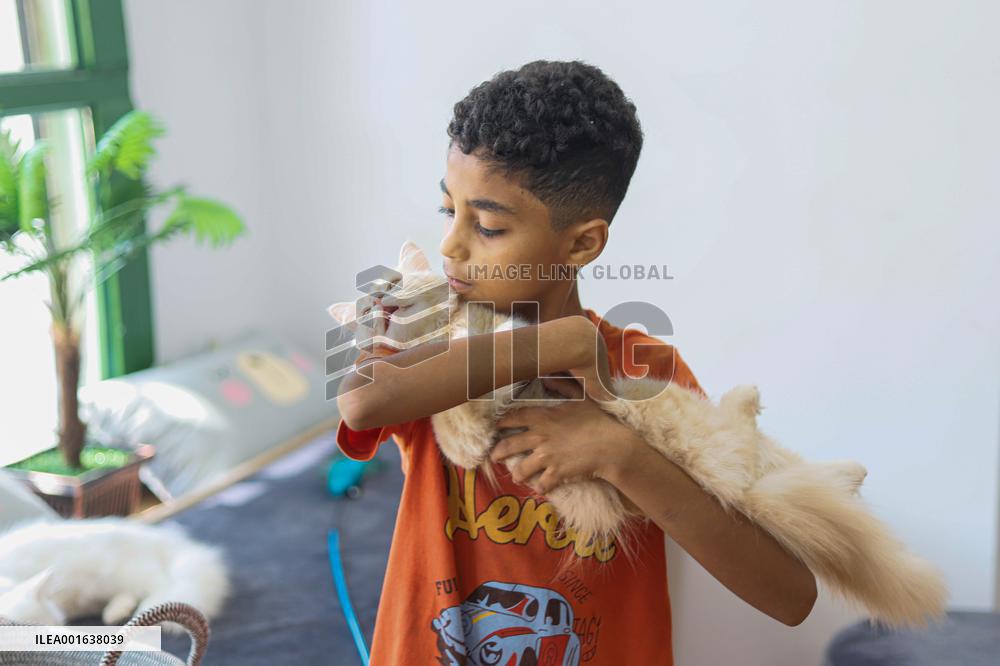 First Cat Cafe in Gaza City - Palestine