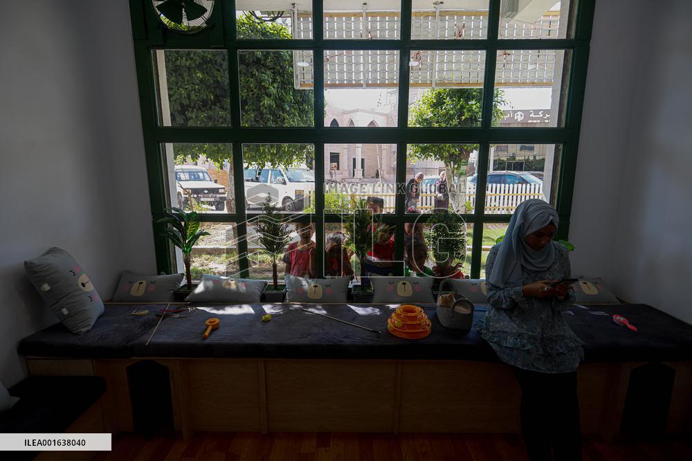 First Cat Cafe in Gaza City - Palestine