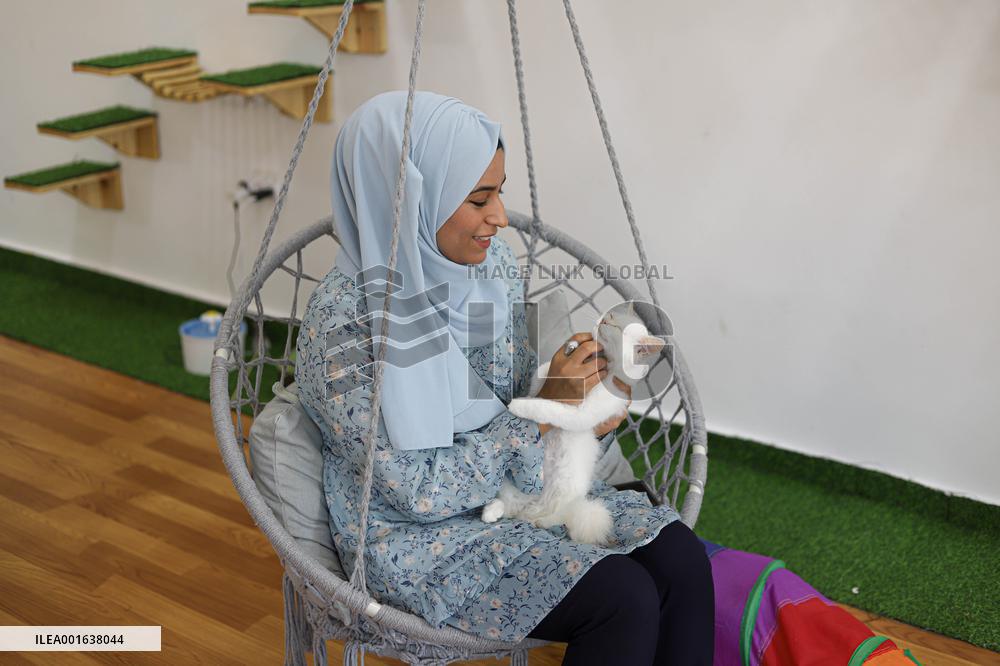 First Cat Cafe in Gaza City - Palestine