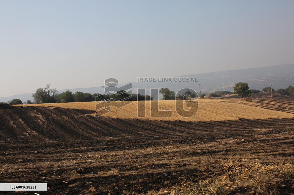 Wildfire Continue In Western Turkey