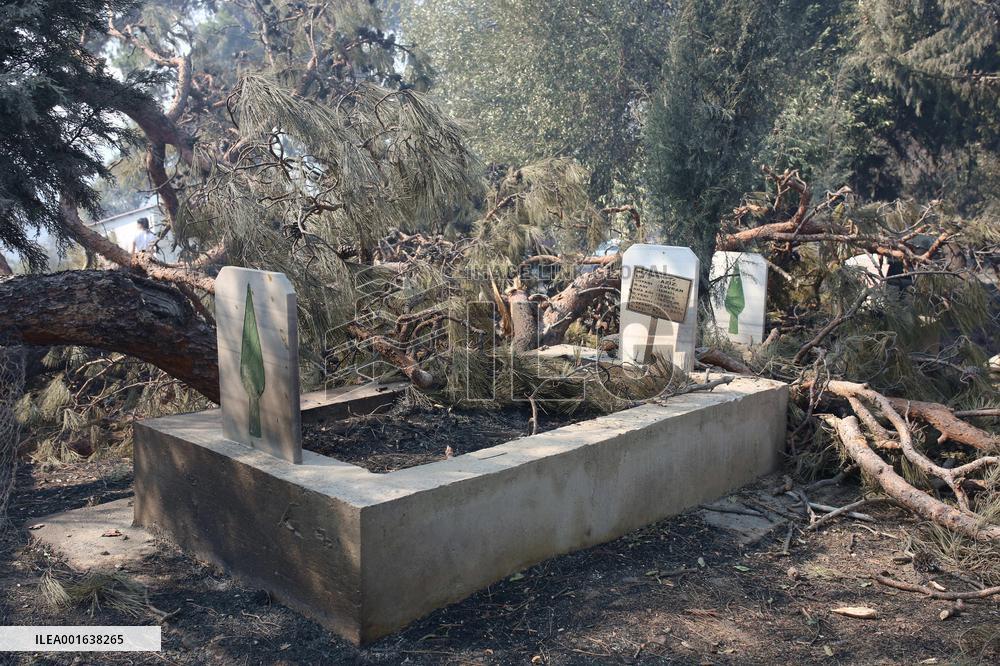 Wildfire Continue In Western Turkey