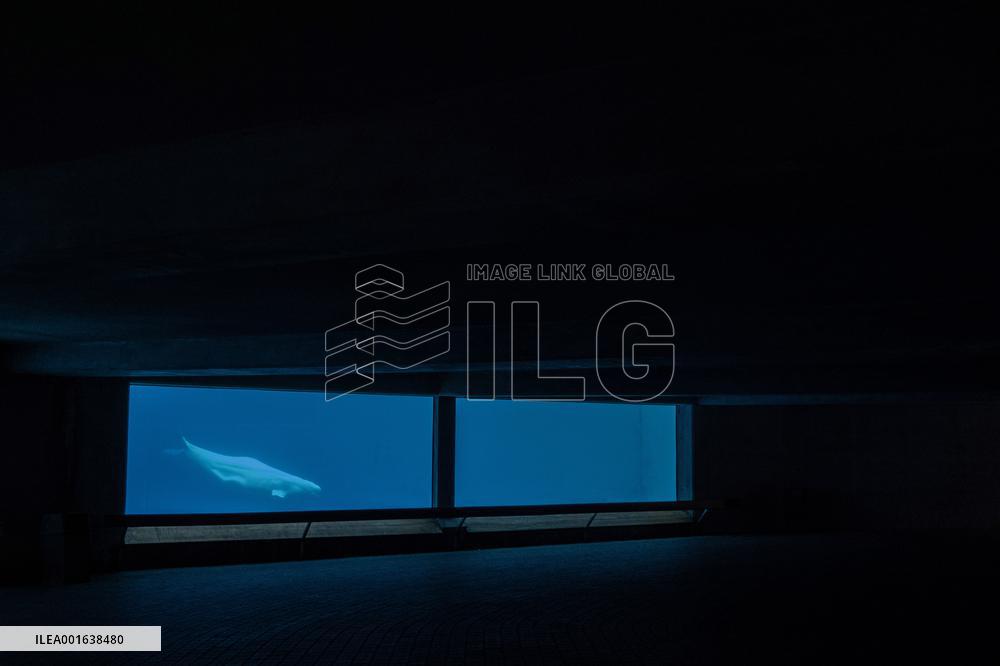 Marineland Amusement Park - Niagara Falls