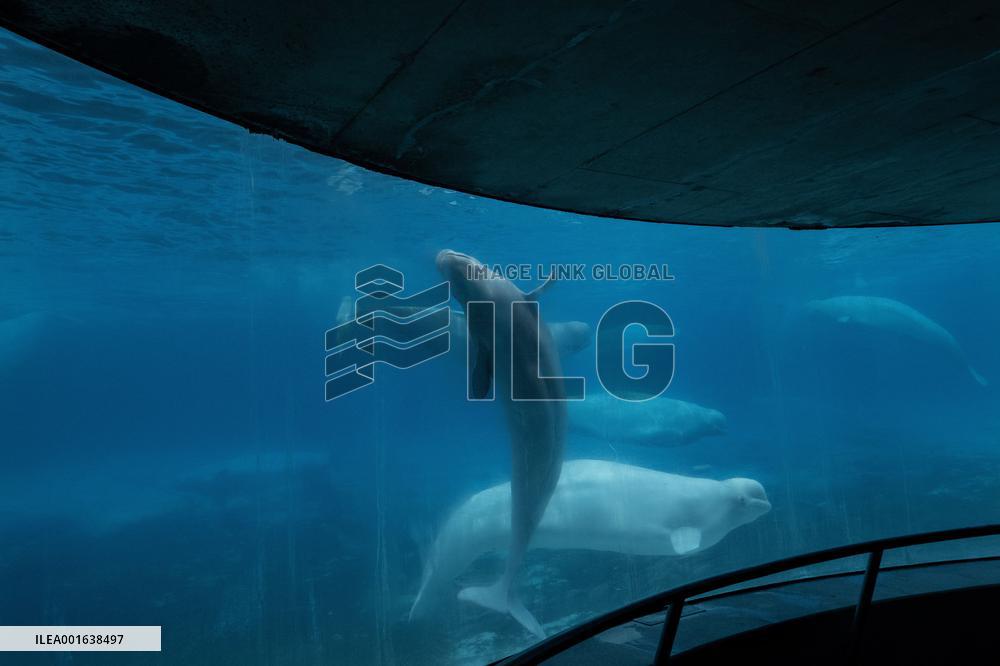 Marineland Amusement Park - Niagara Falls