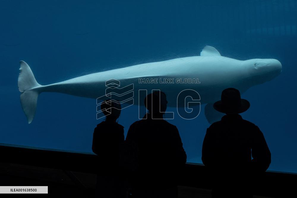 Marineland Amusement Park - Niagara Falls