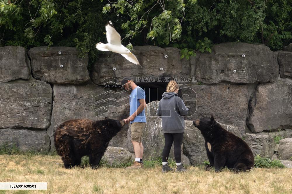 Marineland Amusement Park - Niagara Falls
