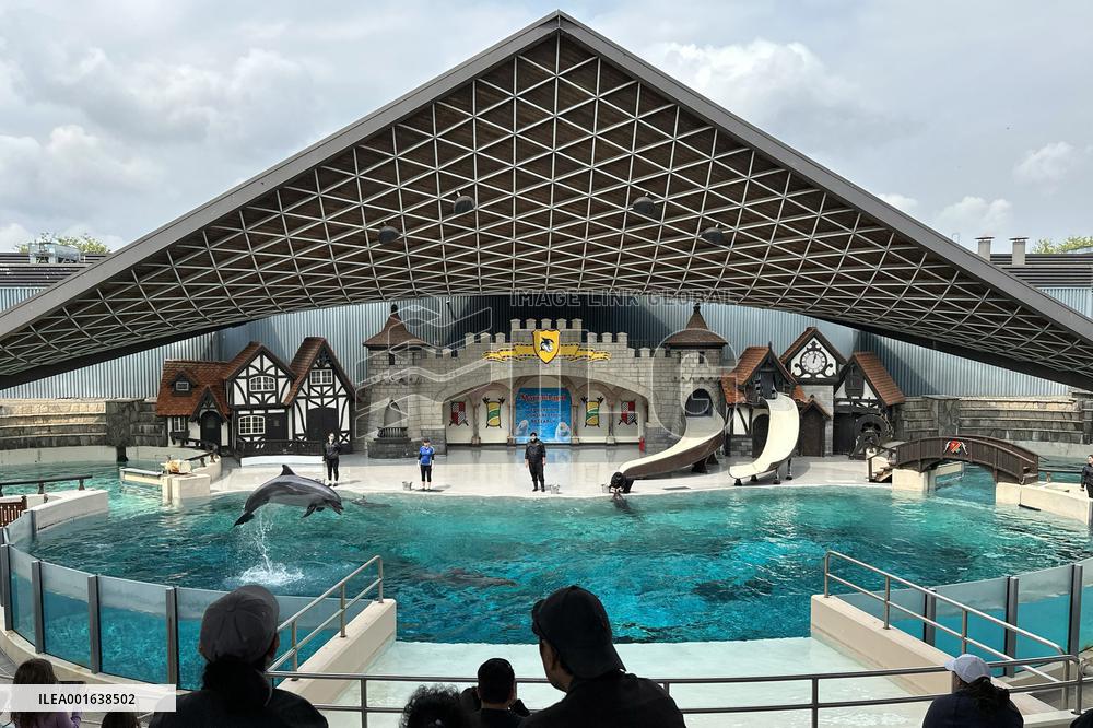 Marineland Amusement Park - Niagara Falls