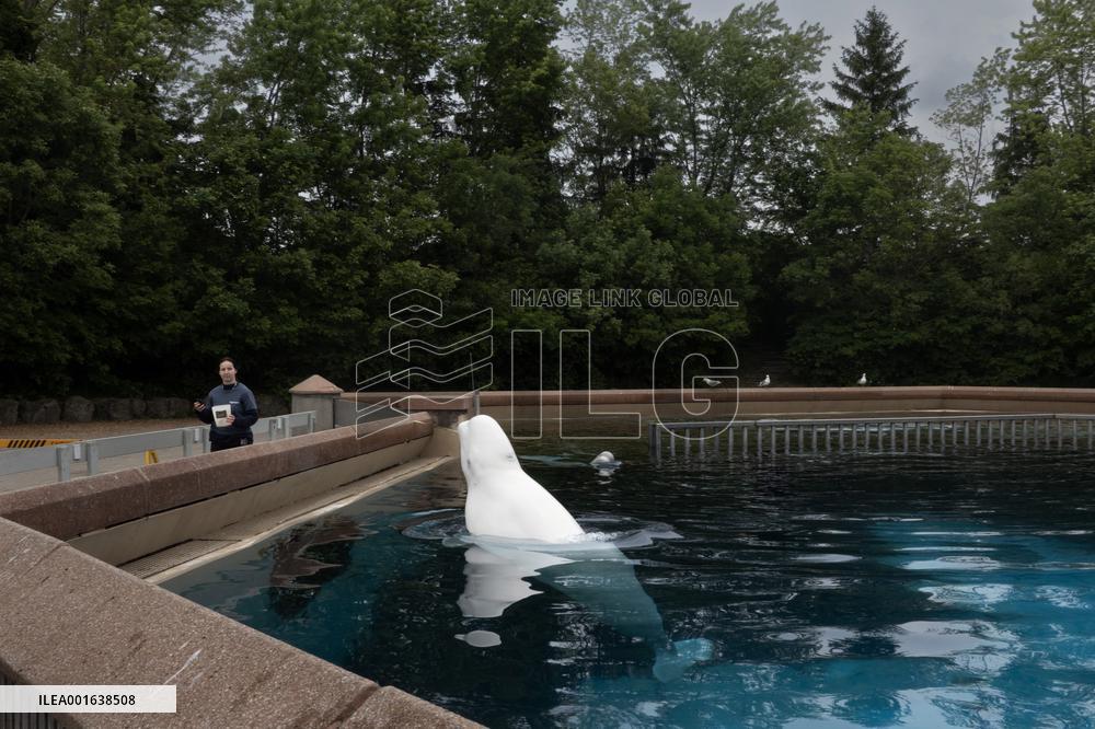 Marineland Amusement Park - Niagara Falls
