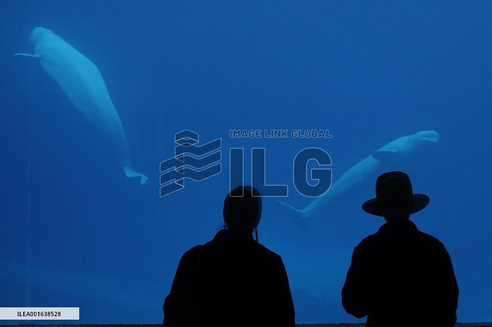 Marineland Amusement Park - Niagara Falls