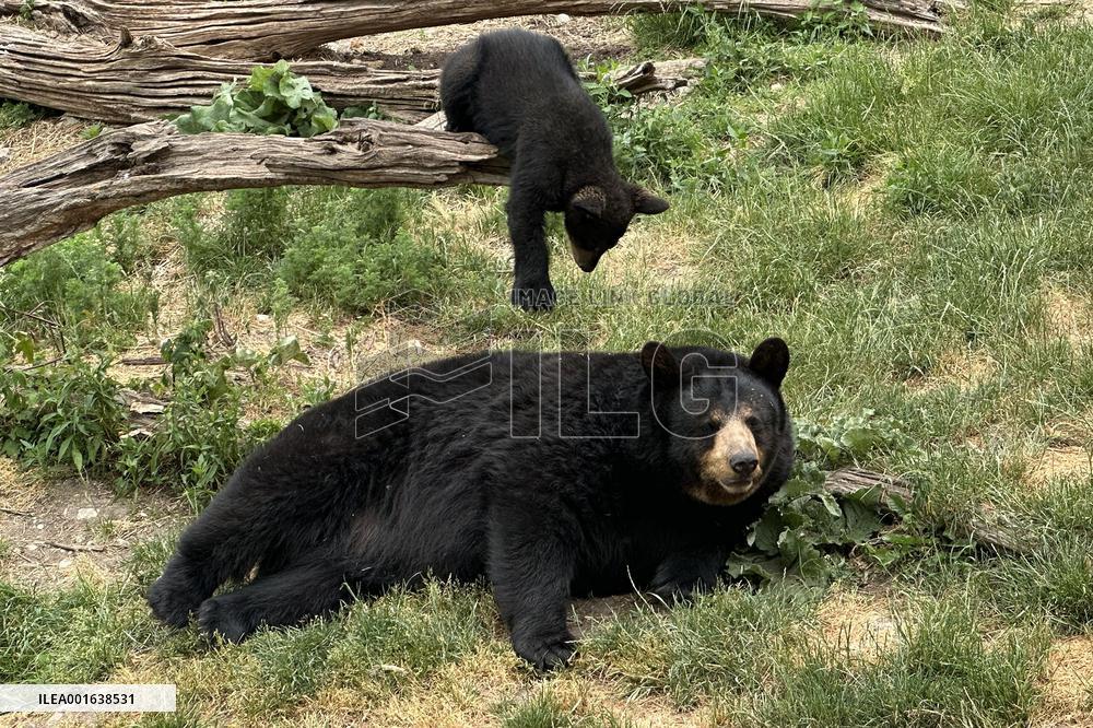 Marineland Amusement Park - Niagara Falls
