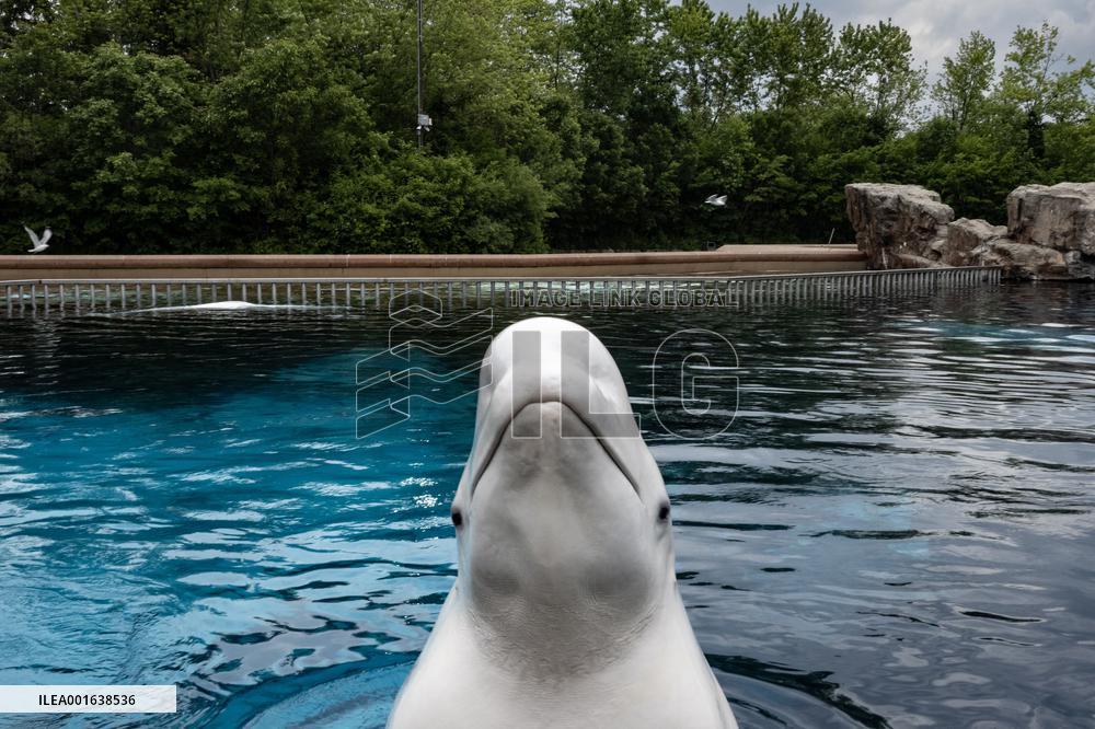 Marineland Amusement Park - Niagara Falls