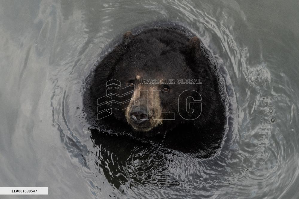 Marineland Amusement Park - Niagara Falls