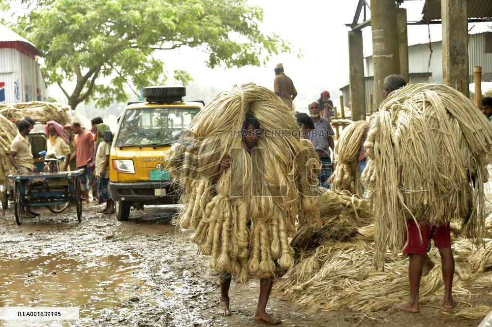 BANGLADESH-MANIKGANJ-JUTE-HARVEST