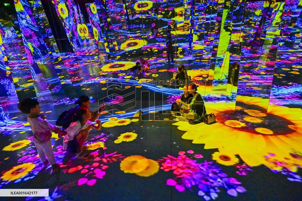 Digital Technology Time Tunnel