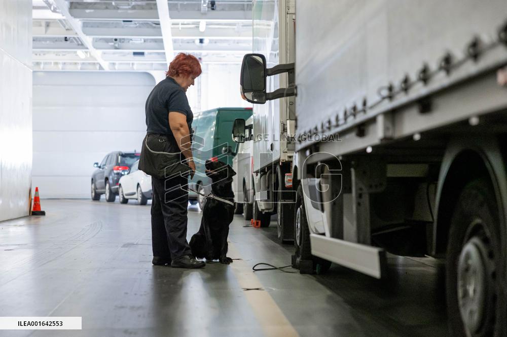 Customs Detector Dogs working
