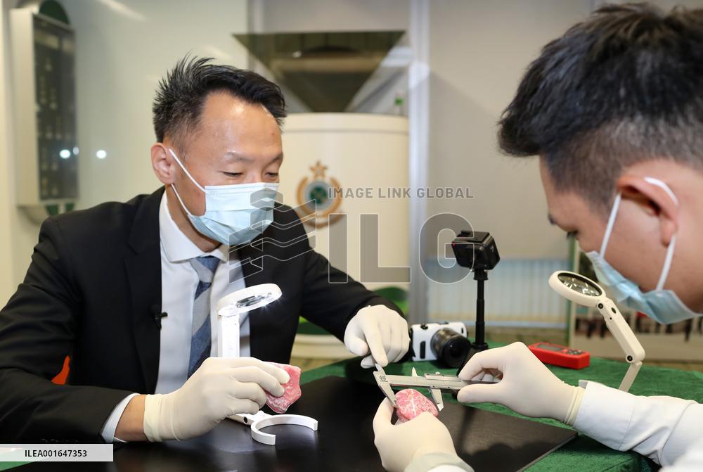 CHINA-HONG KONG-CUSTOMS-CULTURAL HERITAGE-IDENTIFICATION TEAM (CN)