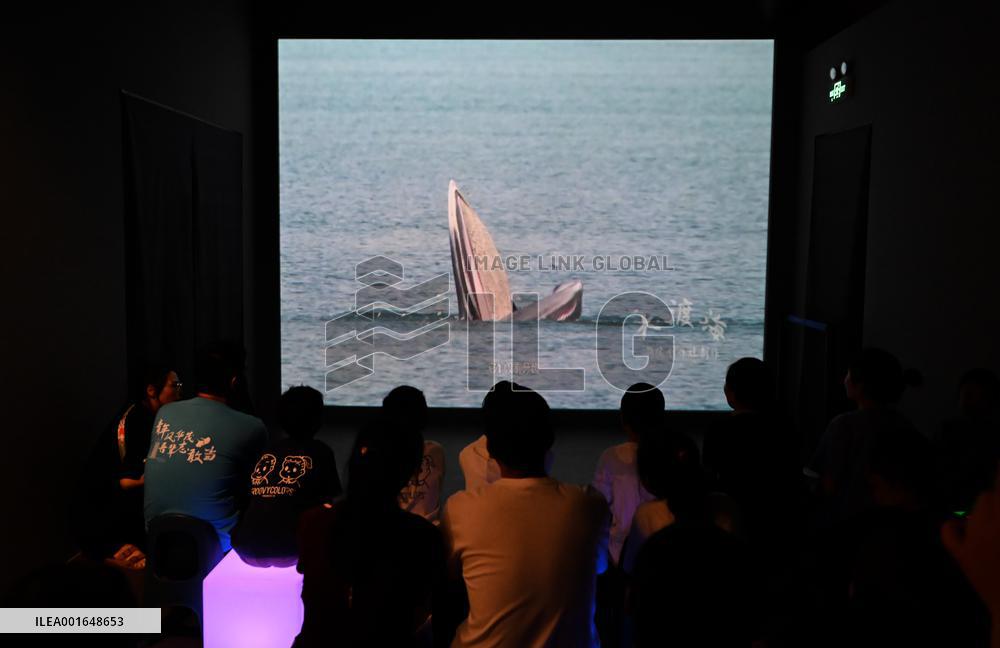 CHINA-TIANJIN-MARITIME MUSEUM-DIGITAL TECHNOLOGY (CN)