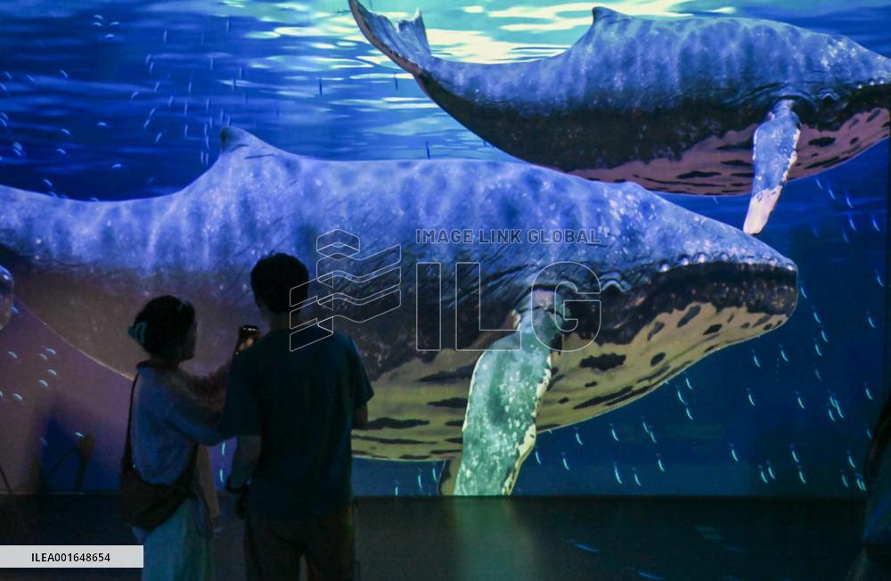 CHINA-TIANJIN-MARITIME MUSEUM-DIGITAL TECHNOLOGY (CN)
