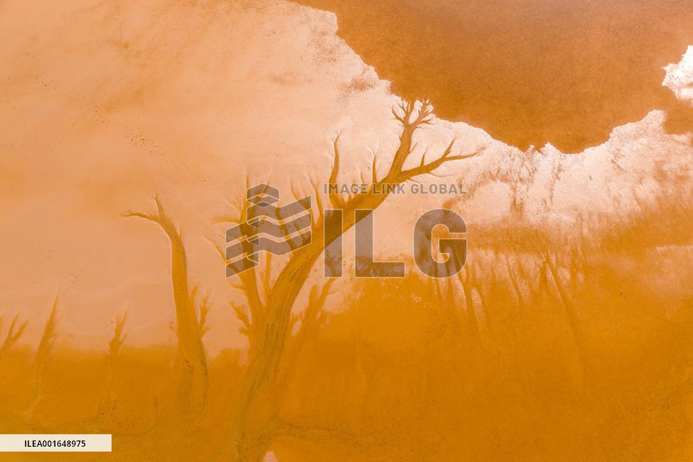 (InTibet)CHINA-TIBET-LAKE SCENERY (CN)