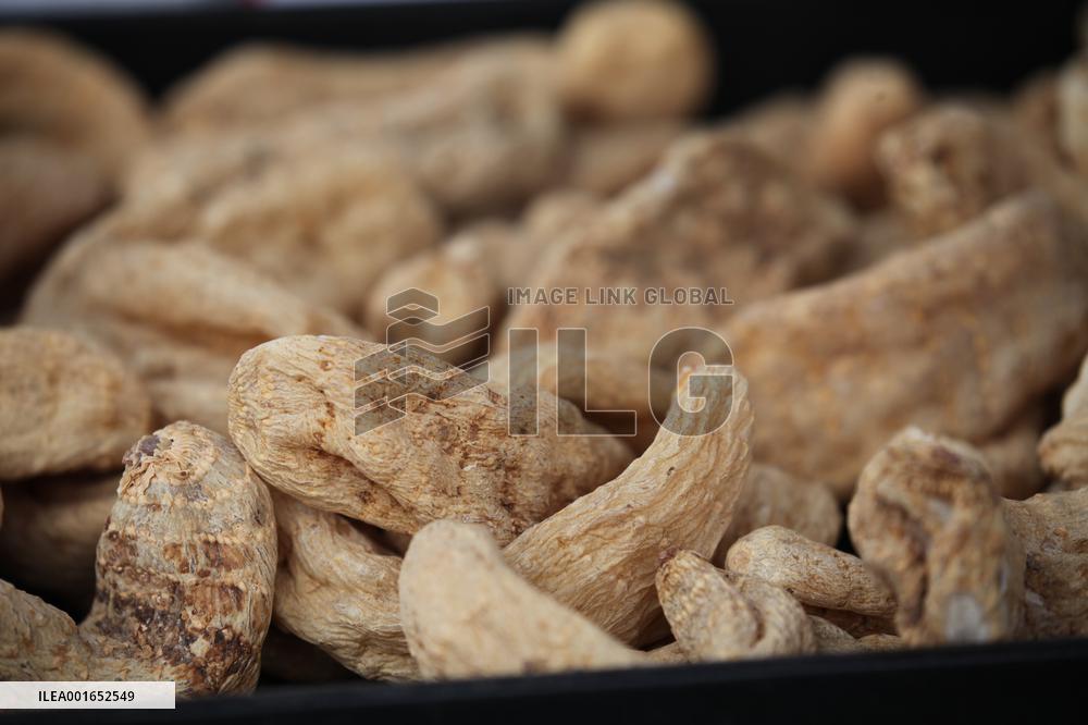 Rare Medicinal Herbs