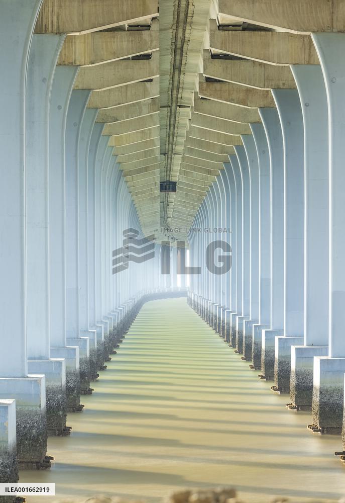 A view shows rows of deep piers of the sea-crossing bridge in Shenzhen, Guangdong province, China, Aug 15, 2023.