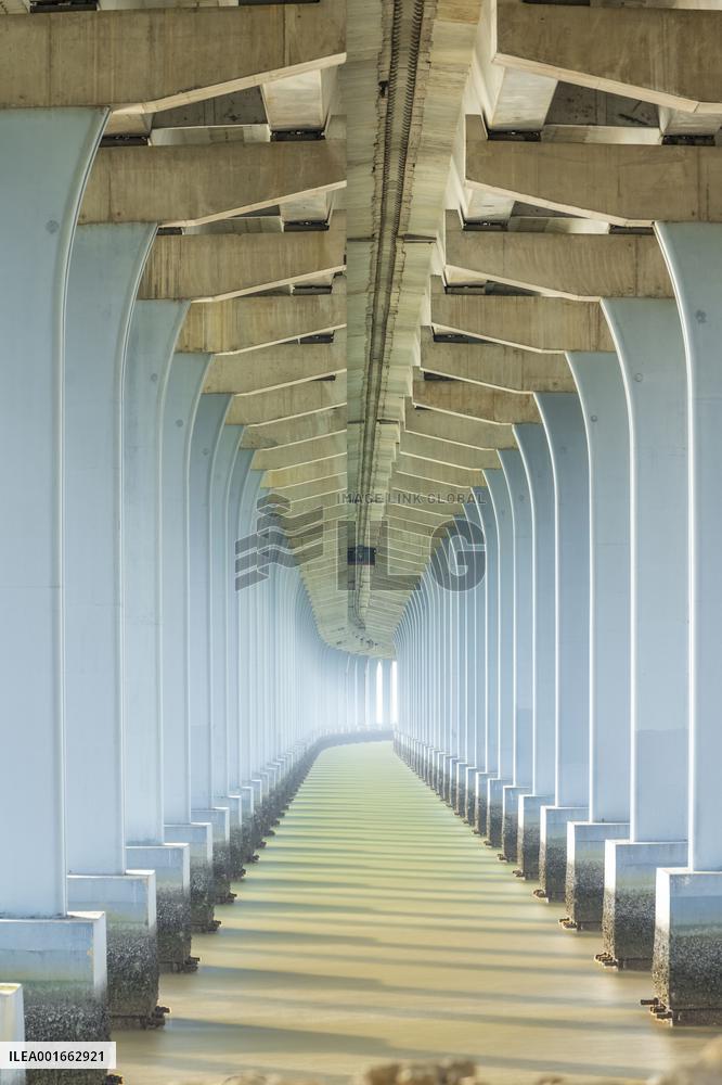 A view shows rows of deep piers of the sea-crossing bridge in Shenzhen, Guangdong province, China, Aug 15, 2023.