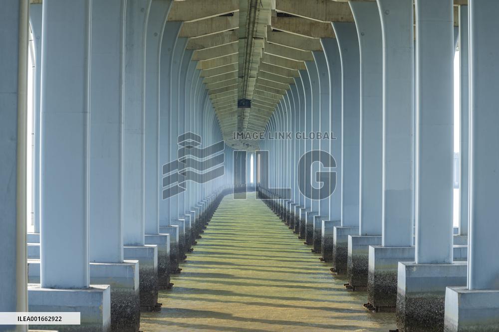 A view shows rows of deep piers of the sea-crossing bridge in Shenzhen, Guangdong province, China, Aug 15, 2023.