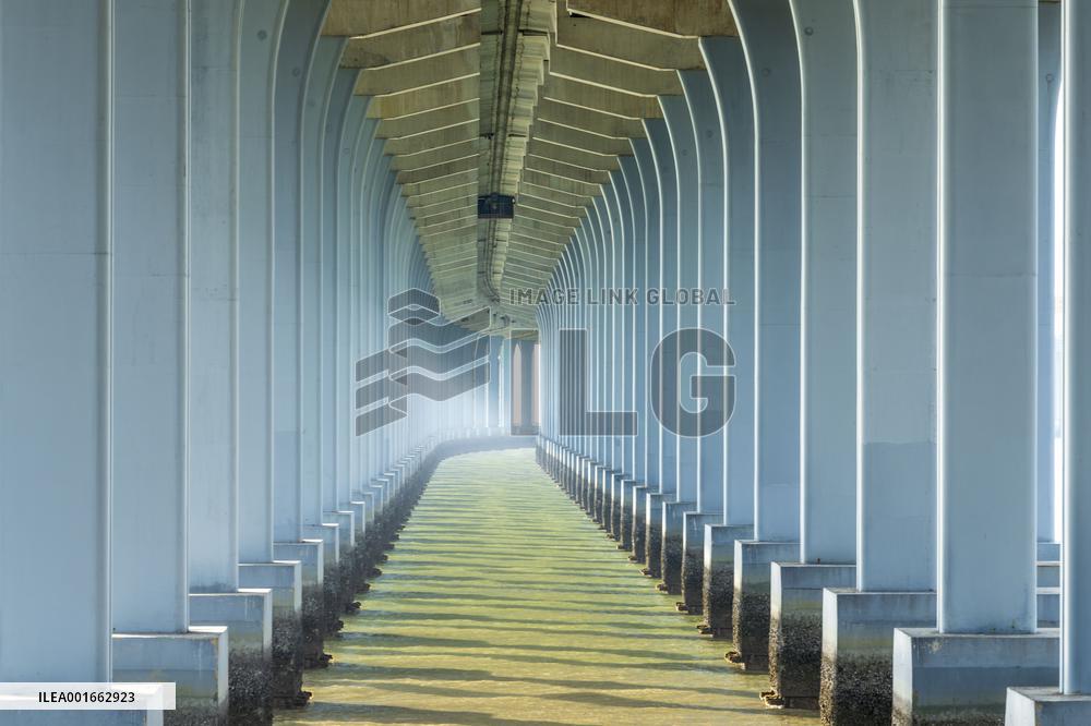 A view shows rows of deep piers of the sea-crossing bridge in Shenzhen, Guangdong province, China, Aug 15, 2023.