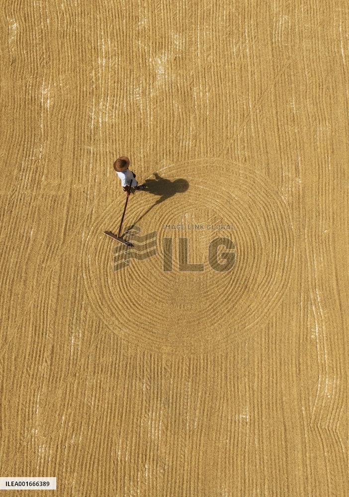 #CHINA-AUTUMN HARVEST (CN)