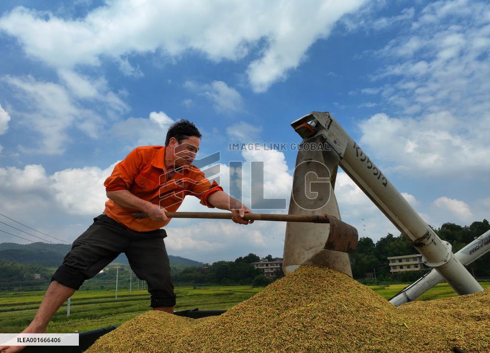 #CHINA-AUTUMN HARVEST (CN)