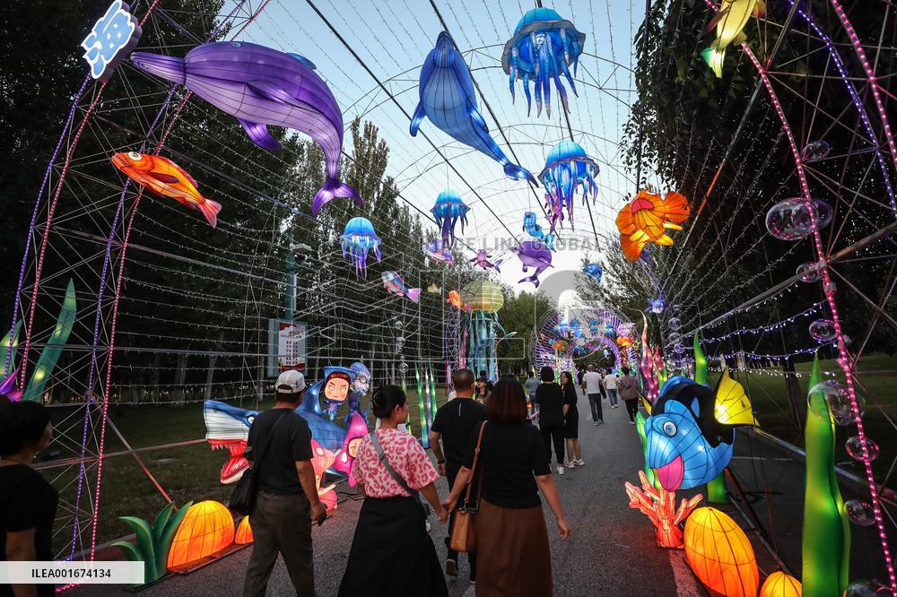 CHINA-LIAONING-PANJIN-LANTERN SHOW (CN)