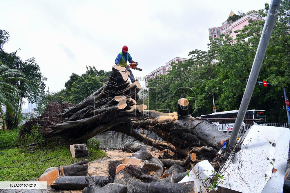 CHINA-GUANGDONG-SHENZHEN-TYPHOON SAOLA (CN)