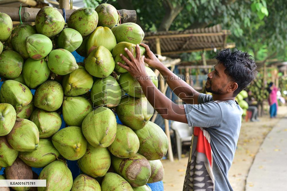 INDIA-ASSAM-COCONUT VENDOR