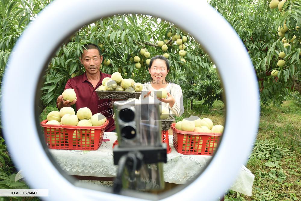 Live Webcast Promote Agriculture in China