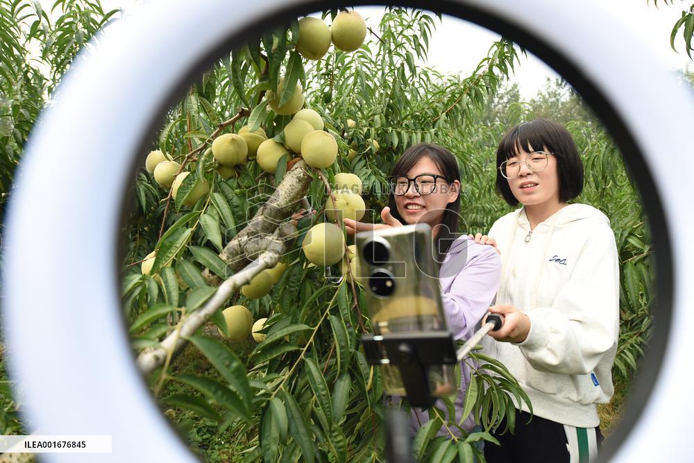 Live Webcast Promote Agriculture in China