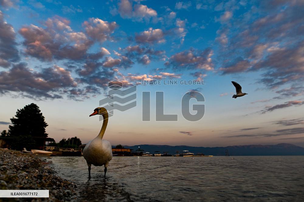 NORTH MACEDONIA-STRUGA-SUNSET